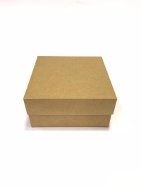 20x20x10 Full Kraft Kutu