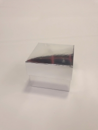 8x8x6 Full Gümüş Kutu