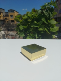 8X8X3 GOLD SÜNGERLİ TAKI KUTUSU (25li PKT)