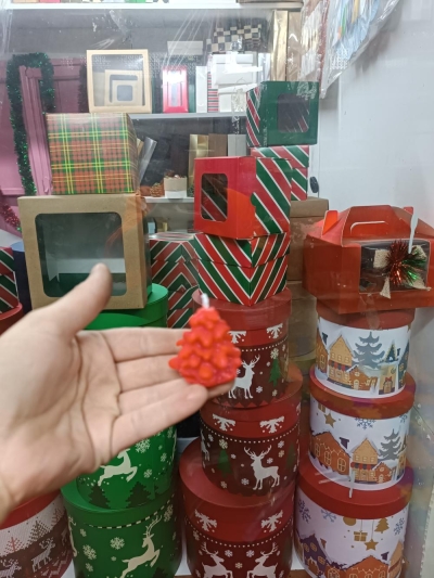 Kırmızı Mini Çam ağacı 5.cm