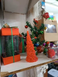 Kırmızı büyük boy Çam ağacı