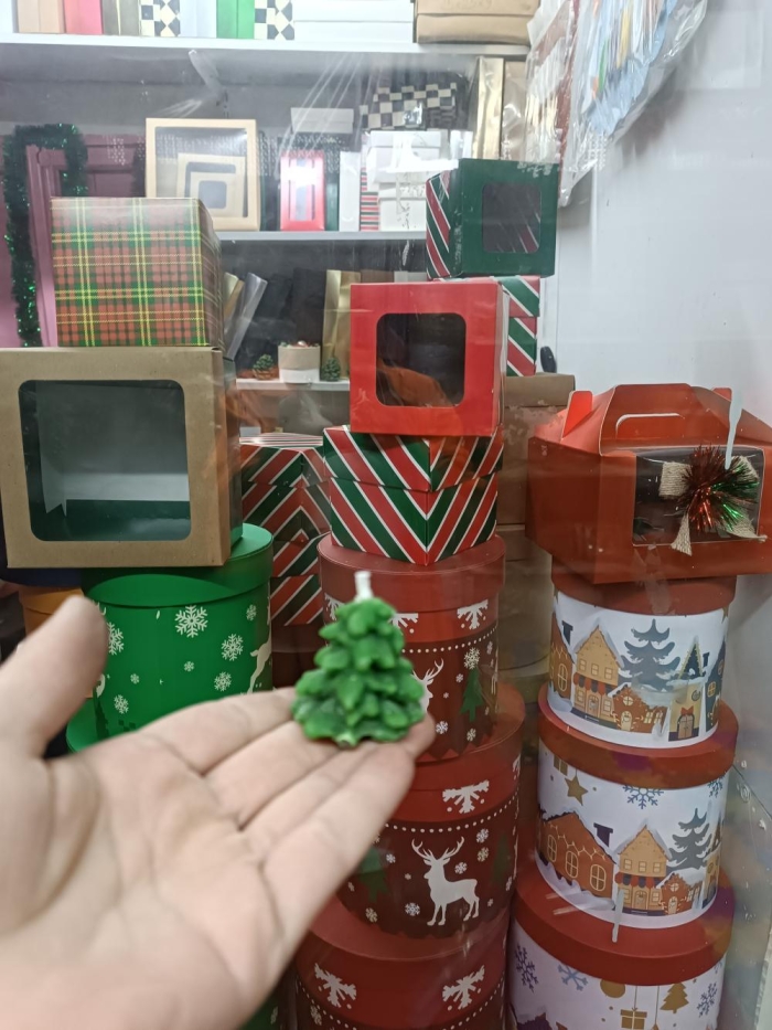 Yeşil Mini Çam ağacı 5.cm