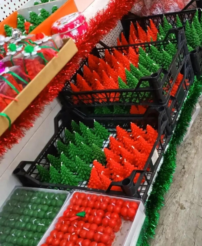 Yeşil Mini Çam ağacı 5.cm