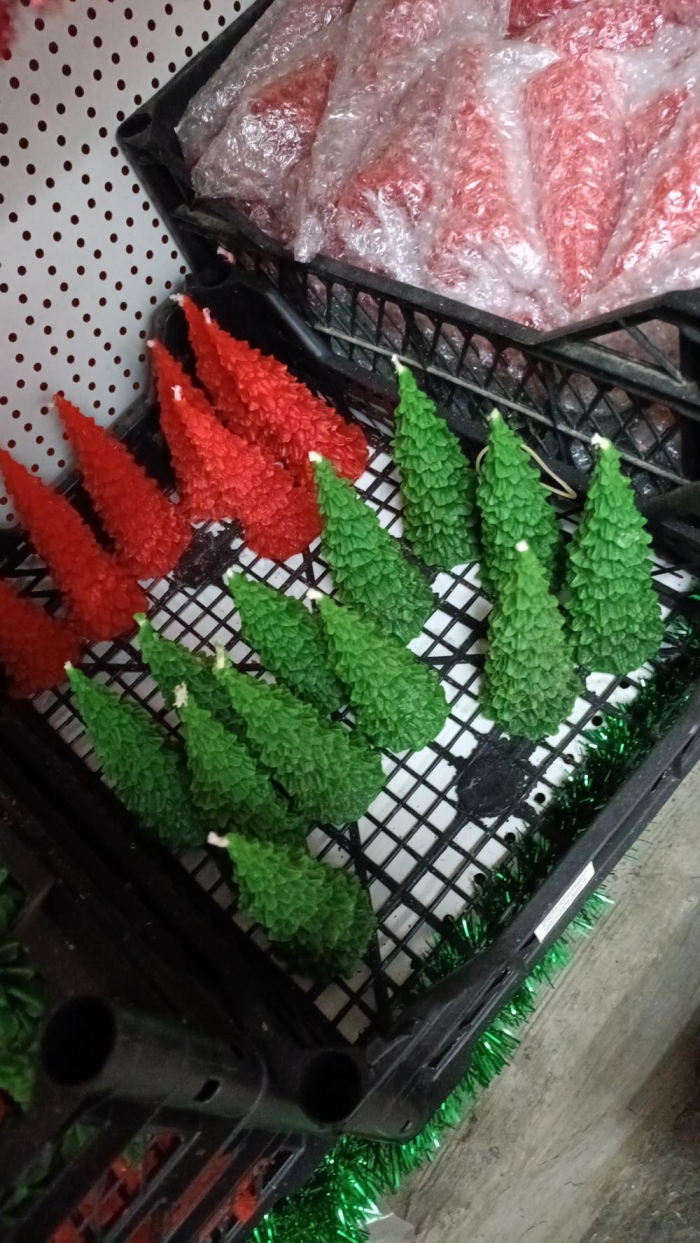 Yeşil büyük boy Çam ağacı
